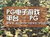 种植基地七