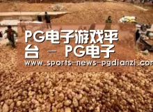 种植基地二