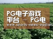 种植基地五