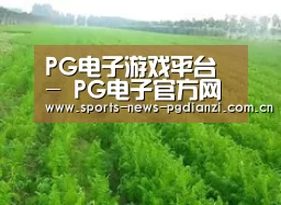 种植基地四