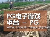 种植基地八