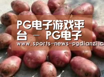 产品展示标题5(图1)