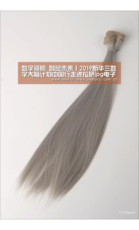 数字领航 智绘未来丨2019新华三数字大脑计划中国行走进拉萨|pg电子试玩(图2) pg电子试玩